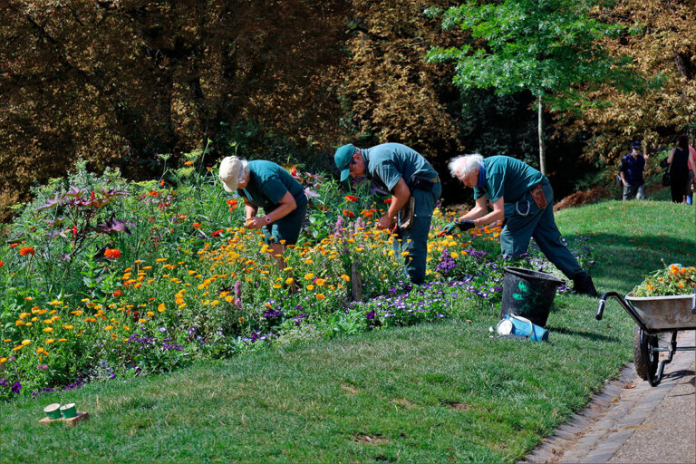 jardineria-publica_08112023180056