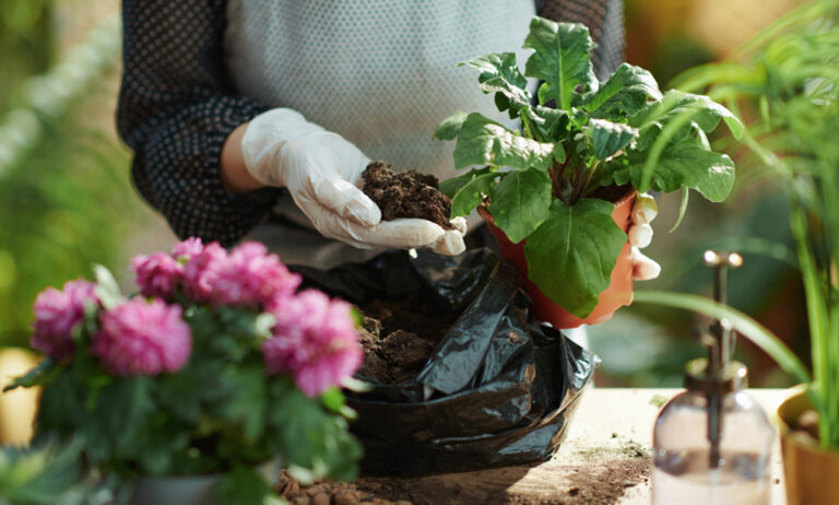 jardines_responsables_30082023094652