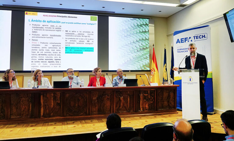jornada_aefa_24052024102303