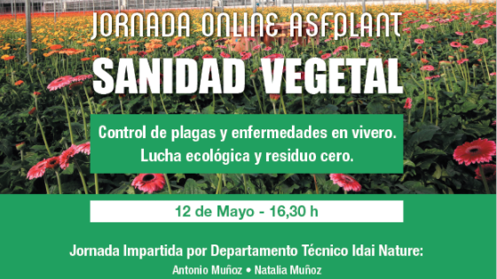 jornada_asfplant_10052021083749