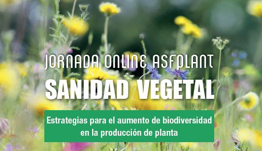 jornada_asfplant_27052021094528