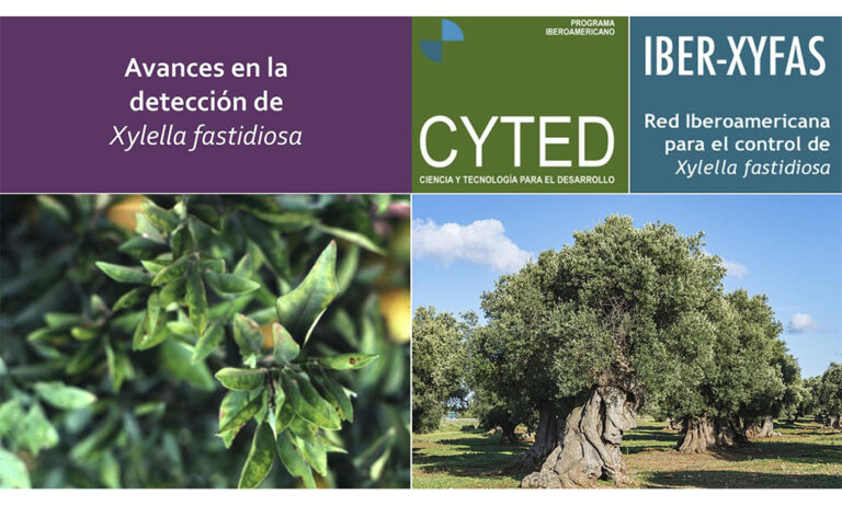 jornada_internacional_xylella_fastidiosa_27082019094326