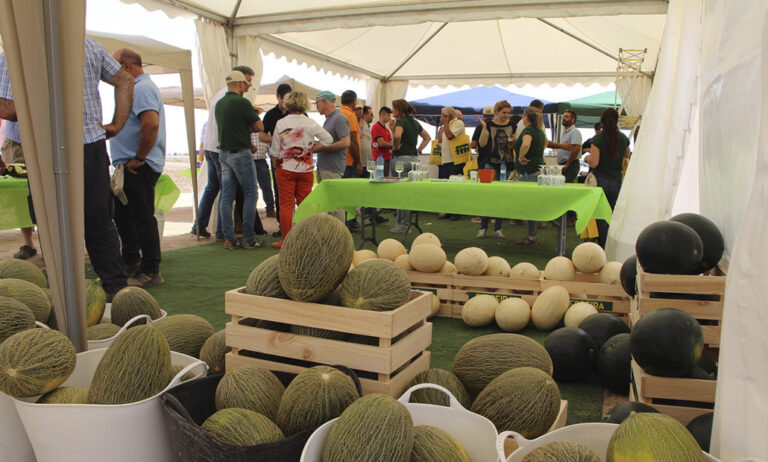 jornadas_de_melon_y_sandia_de_semillas_fito_02072019102324