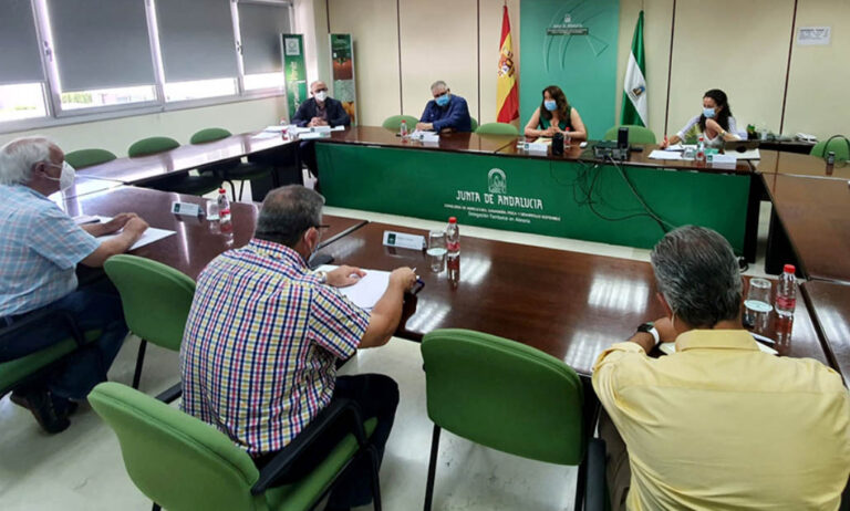 junta_andalucia_20072020082429