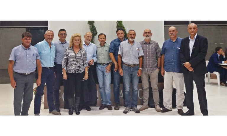 junta_feej_13092019120947