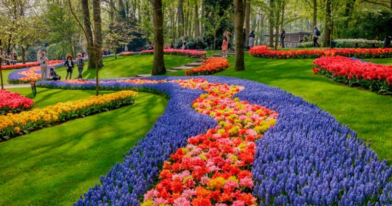 keukenhof_12042024093133