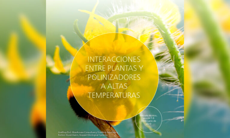 koppert_polinizadores_24082020081411