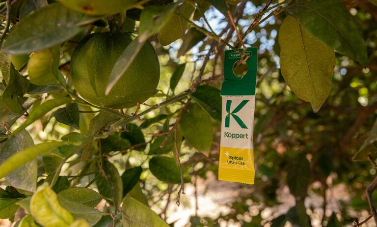 koppertfruitattraction_02092025084313