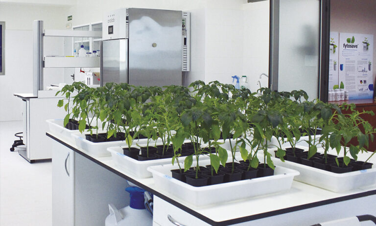 laboratorio_lida_plant_research_18072019112609