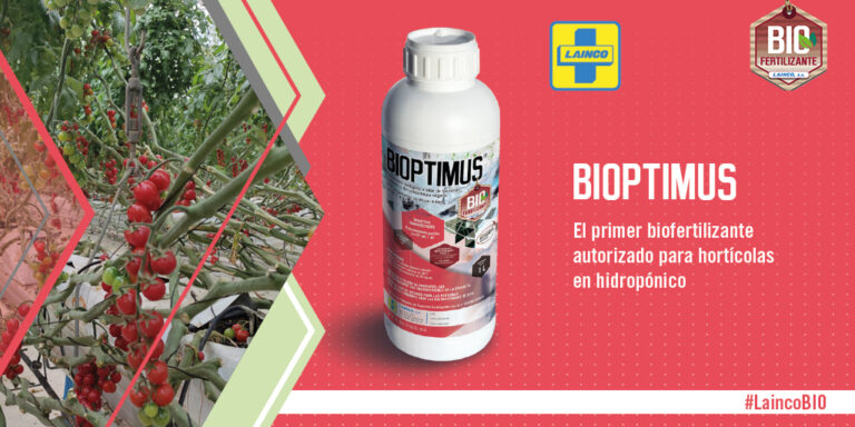 lainco_bioptimus_21102021083936