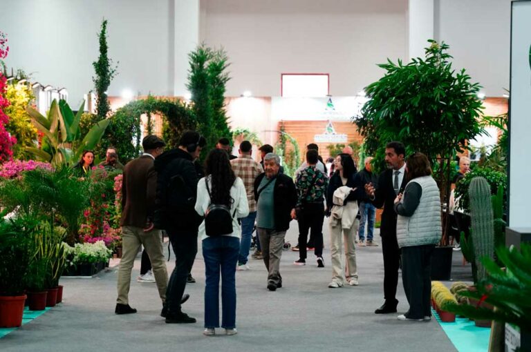 landscape-istanbul-fair_26062024085301