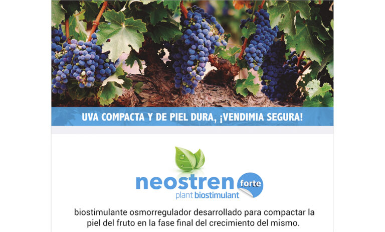 lida_15092020074702