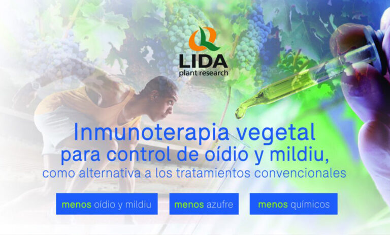 lida_18062019074823