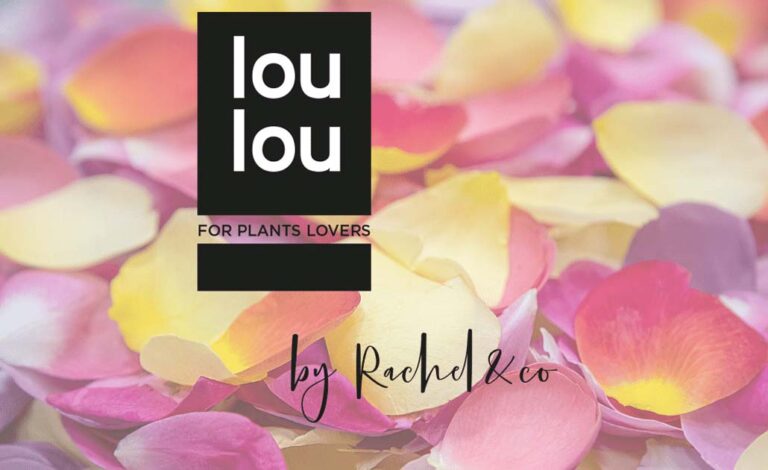 loulou_02022022145531