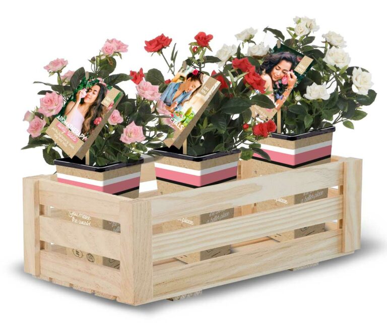 lovely-roses-loulou_03032023093422
