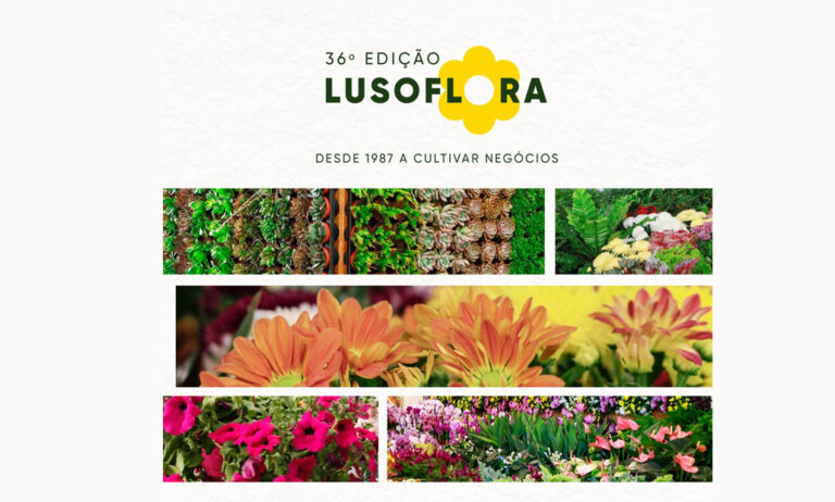 lusflora_12022025094013