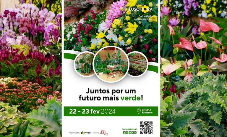 lusoflora_21022024155201
