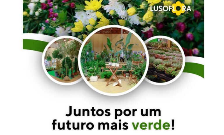 lusoflora_maceflor_15022024082454
