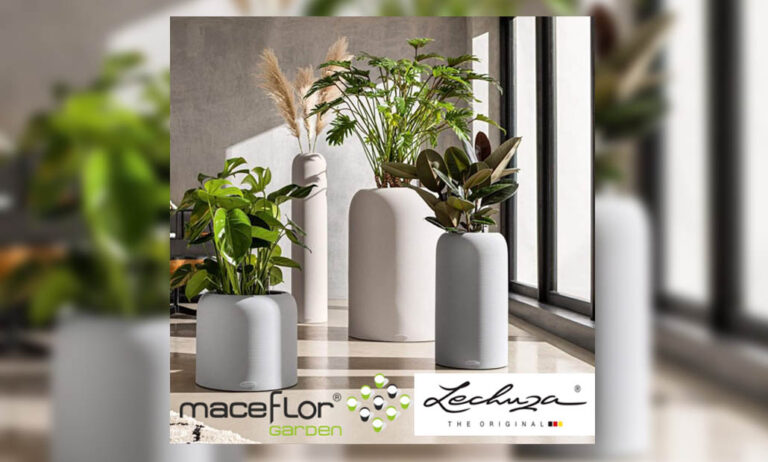 maceflor_15012021100744