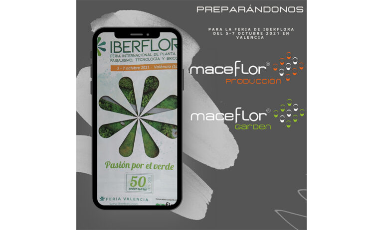 maceflor_15092021111913