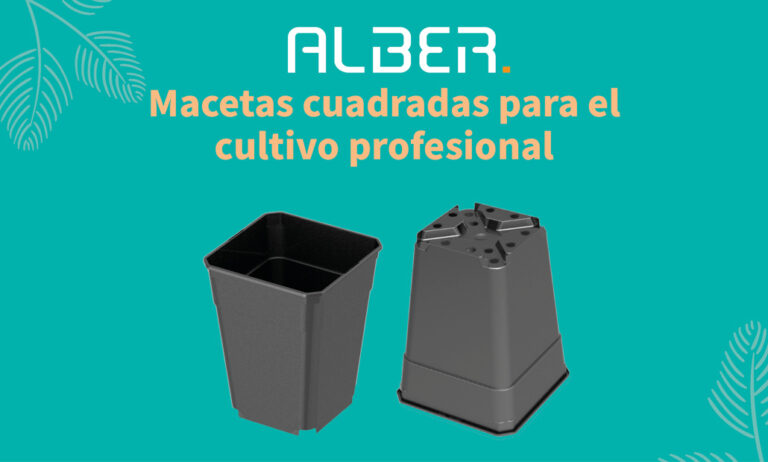 macetas-cuadradas-plastico_27032024102513
