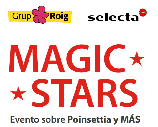 magicstar_05112021102447