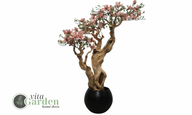 magnolio-corcega_vitagarden_04032026134410