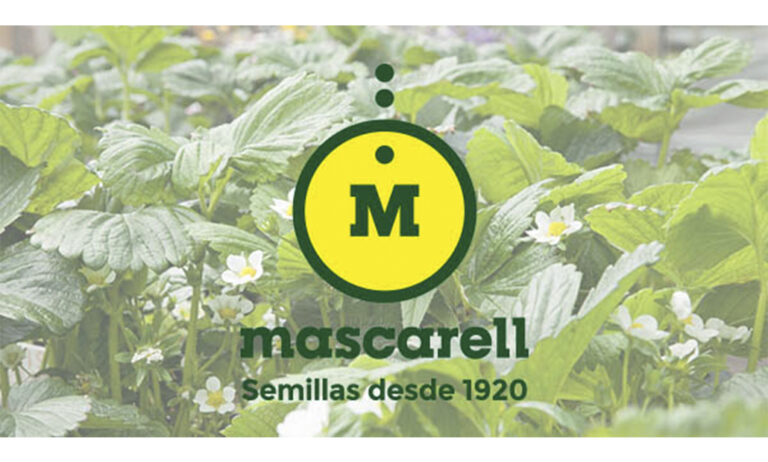 mascarell_25112021124915