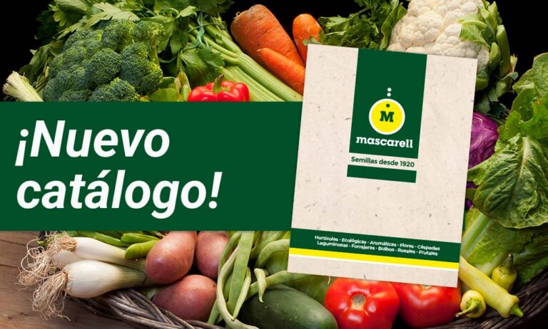 mascarell_gv_09032022115705