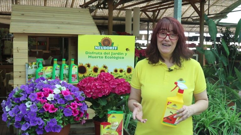 maxresdefault