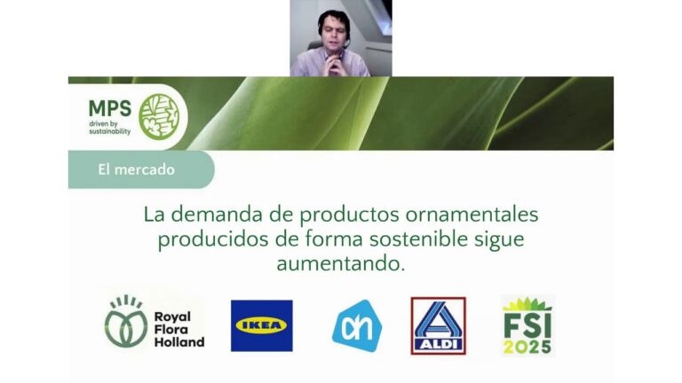 maxresdefault