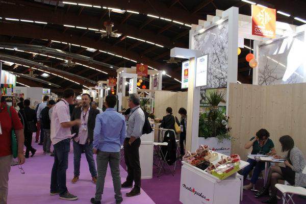 medfel_27032019083229