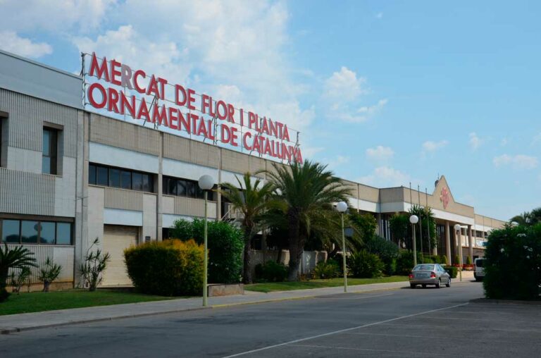 mercat-vilassar_07032024090254