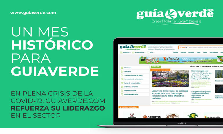 mes-historico_04052020135310