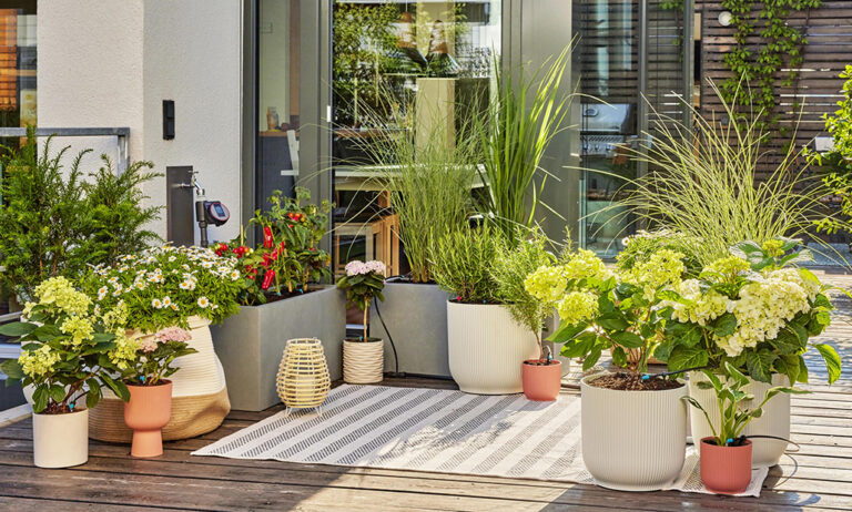 micro-dip_gardena_18072023142534