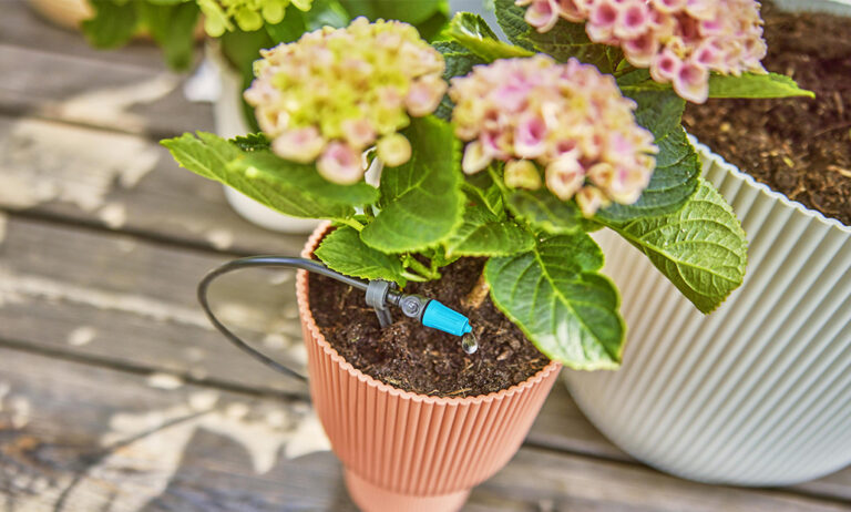 microdrip_gardena_15072024084719