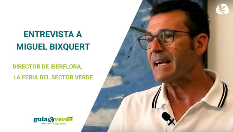 miguel_bixquert_05092019092242