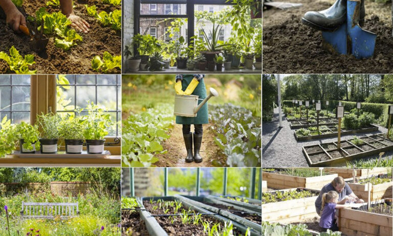 million_garden_18032021114056