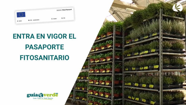 miniatura-pasaporte_12122019154858