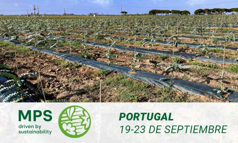 mps-portugal-contacto_14092022143429