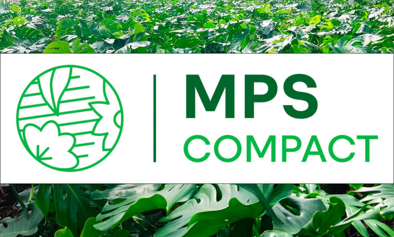 mps_compact_26032025122700