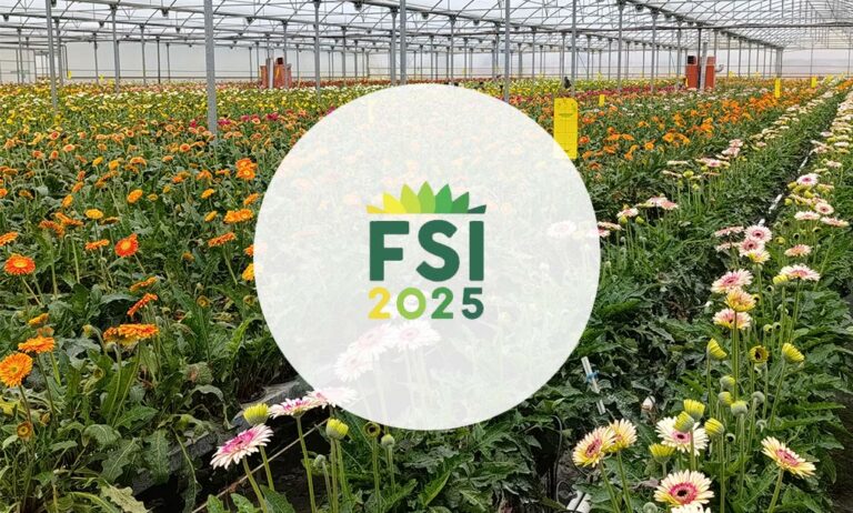 mps_fsi25_04032025142836