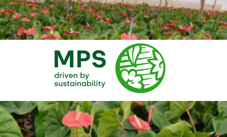 mps_marzo_03042024175101
