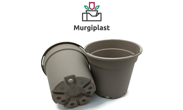 murgiplast_serie_cca_03042025130024