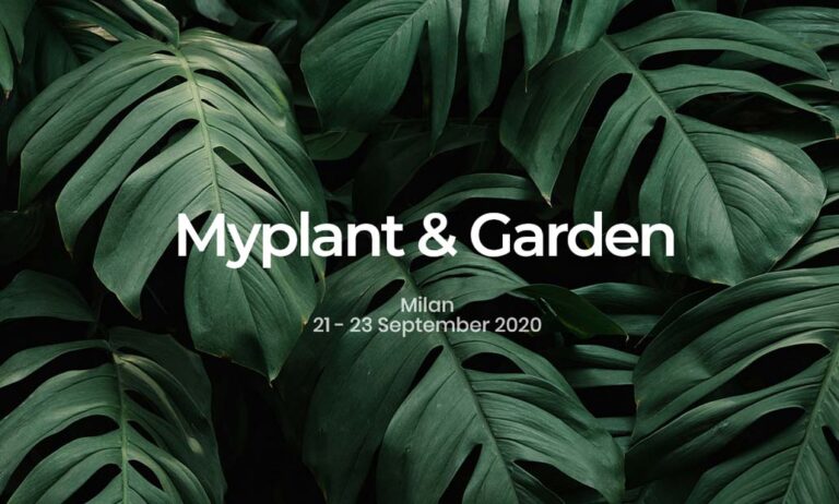 myplan-septiembre_04032020082947