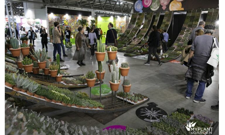myplant23_08032023163305