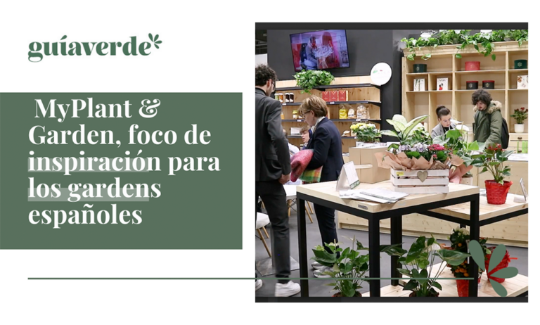 myplant_28022025095223