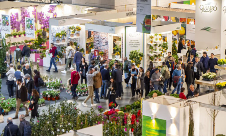 myplant_ndp_12122024095423