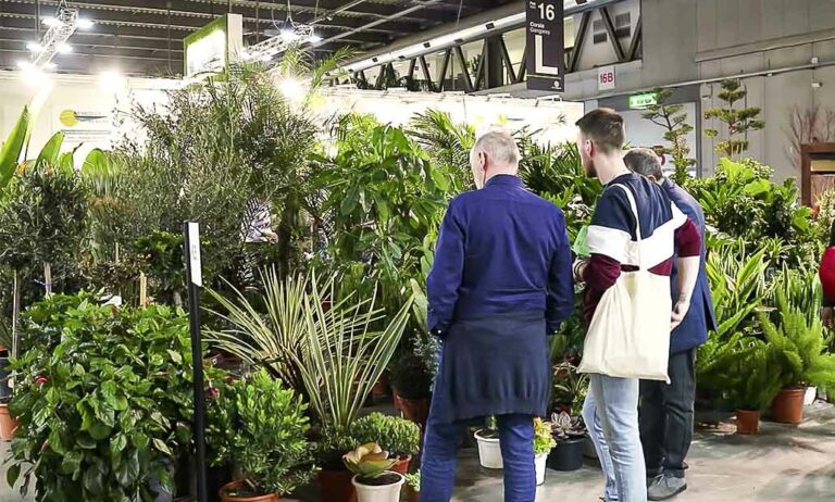 myplantandgarden_01032023123128