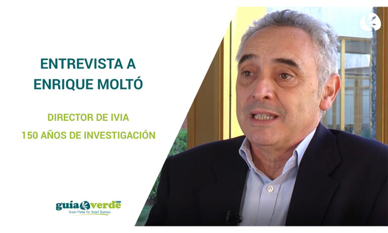 noti1abril-noticiagv_11042019094545